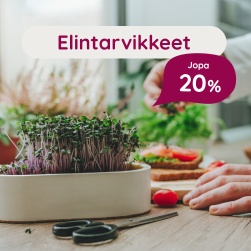 Elintarvikkeet jopa 20 %